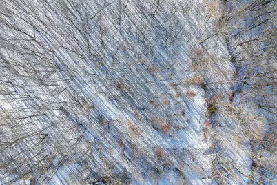 15Xxx Camp Winona Trail, Faribault, MN 55021 - Photo 12