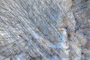 15Xxx Camp Winona Trail, Faribault, MN 55021 - Photo 12