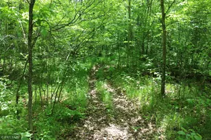 14638 State Hwy 70, Pine City, MN 55063 - Photo 56