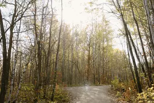 21574 State 200, Bagley, MN 56621 - Photo 112