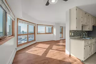 433 S 7th St, Minneapolis, MN 55415 - Photo 44