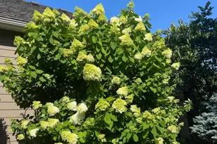 5001 Kelsey Terrace, Edina, MN 55436 - Photo 58