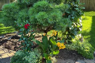 5001 Kelsey Terrace, Edina, MN 55436 - Photo 66