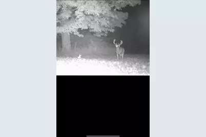 Xxx US Hwy 8, Almena, WI 54805 - Photo 22