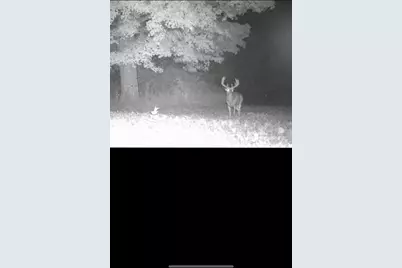 Xxx US Hwy 8, Almena, WI 54805 - Photo 42