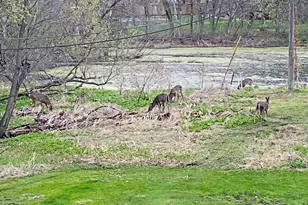 16633 Temple Dr N, Minnetonka, MN 55345 - Photo 54