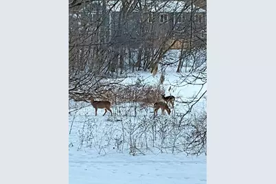 16633 Temple Drive N, Minnetonka, MN 55345 - Photo 56