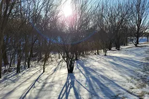 1967 Sierra Dr, Hastings, MN 55033 - Photo 28