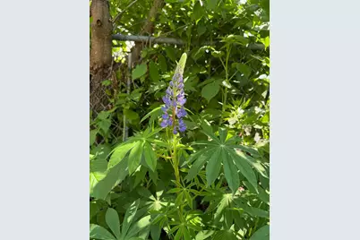 5348 47th Avenue S, Minneapolis, MN 55417 - Photo 30