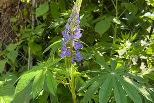 5348 47th Ave S, Minneapolis, MN 55417 - Photo 30