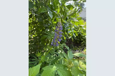 5348 47th Avenue S, Minneapolis, MN 55417 - Photo 32