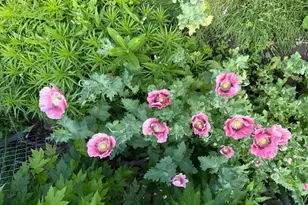 5348 47th Ave S, Minneapolis, MN 55417 - Photo 28