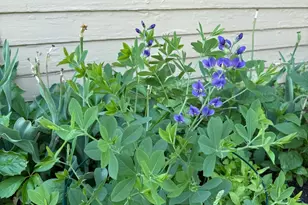 5348 47th Ave S, Minneapolis, MN 55417 - Photo 30