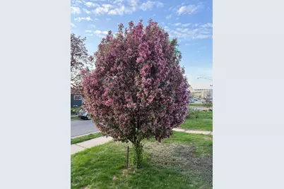 5348 47th Avenue S, Minneapolis, MN 55417 - Photo 34