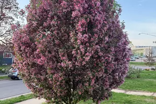 5348 47th Ave S, Minneapolis, MN 55417 - Photo 34