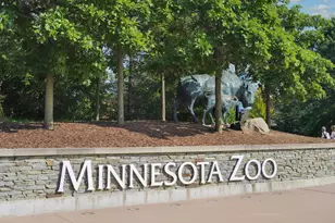 1109 Annagaire Curv, Rosemount, MN 55068 - Photo 26