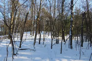 Lot 1 Lincoln Ave, Amery, WI 54001 - Photo 1