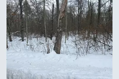 L7B1 Bonnie Lakes Rd, Crosslake, MN 56442 - Photo 2