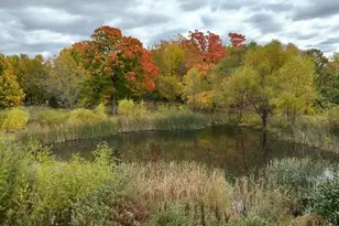 1096 Sunset Ave, Montrose, MN 55363 - Photo 2