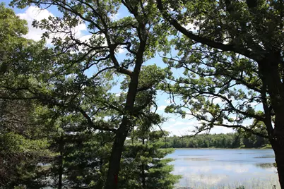 39817 Osage Drive, Browerville, MN 56438 - Photo 6