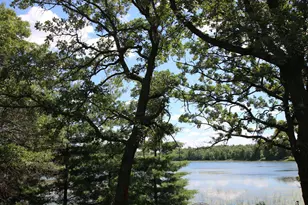 39817 Osage Dr, Browerville, MN 56438 - Photo 6