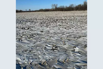 Xxxx 285th (180 Acres) Street, Northfield, MN 55057 - Photo 10