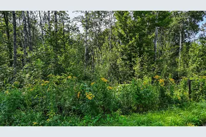 Tbd4 Winter Creek Court, Nisswa, MN 56468 - Photo 34