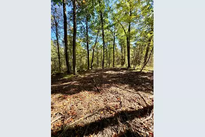 Tbd4 Winter Creek Court, Nisswa, MN 56468 - Photo 36