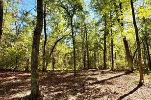 Tbd5 Winter Creek Ct, Nisswa, MN 56468 - Photo 1