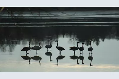 11074 Grand Lake Road, Rockville, MN 56369 - Photo 24