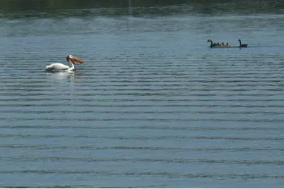 11074 Grand Lake Road, Rockville, MN 56369 - Photo 28