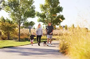 11645 Hbr Cir N, Dayton, MN 55369 - Photo 44