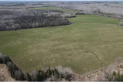 11Tbd Gulley Road, Maple, WI 54854 - Photo 14