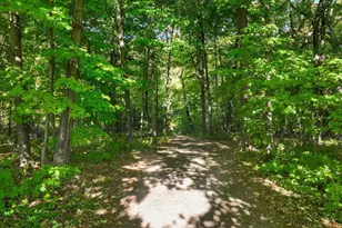 24225 Williams Rd, Rogers, MN 55374 - Photo 42