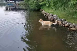 37931 Dream Island Rd, Crosslake, MN 56442 - Photo 32