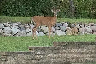 941 Rice St, Faribault, MN 55021 - Photo 44