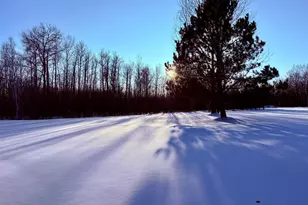 469 MN-11, Williams, MN 56686 - Photo 38