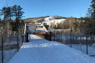 6580 Voyageurs Trl, Biwabik, MN 55708 - Photo 1