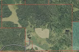 24193 Nebish Rd NE, Blackduck, MN 56630 - Photo 10