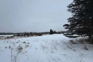 24193 Nebish Rd NE, Blackduck, MN 56630 - Photo 22