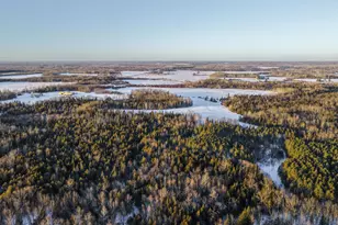 24193 Nebish Rd NE, Blackduck, MN 56630 - Photo 4