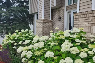 20600 Jura Trail, Lakeville, MN 55044 - Photo 36