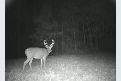 29326 County Road 1, Emily, MN 56447 - Photo 6