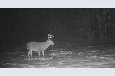 29326 County Road 1, Emily, MN 56447 - Photo 72