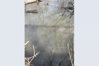 50828 Tradesman Road, Staples, MN 56479 - Photo 32