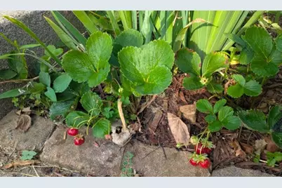 7200 Newton Avenue N, Brooklyn Center, MN 55430 - Photo 44