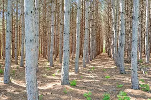 5895 5th Ave NE, Sauk Rapids, MN 56379 - Photo 94