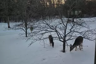 23548 W River Rd, Grantsburg, WI 54840 - Photo 48