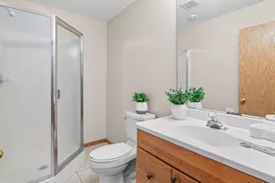 568 Wood Duck Trail, Lino Lakes, MN 55014 - Photo 20