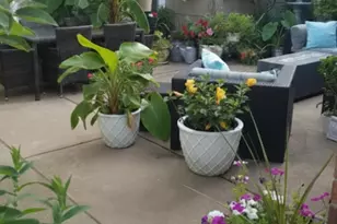 9244 Indian Blvd S, Cottage Grove, MN 55016 - Photo 22